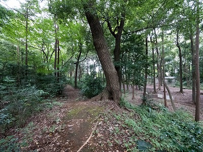 イメージ 56