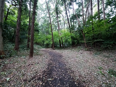 イメージ 57