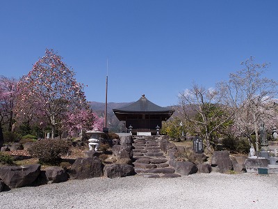 イメージ 30