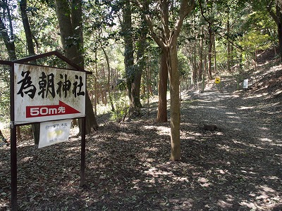 イメージ 66