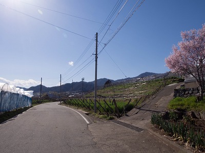 イメージ 14