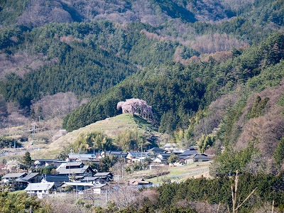 イメージ 44