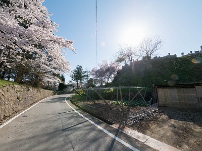 イメージ 51