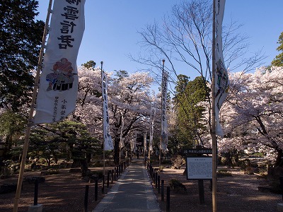 イメージ 71
