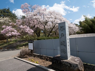 イメージ 18