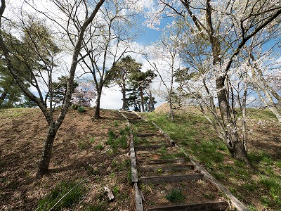 イメージ 33