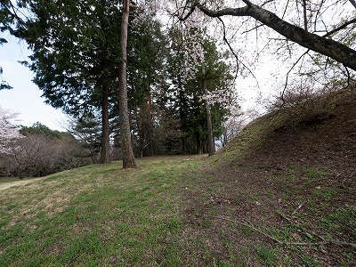 イメージ 44
