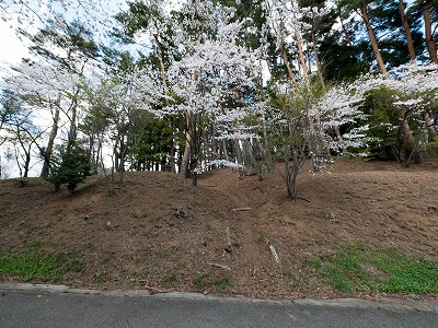 イメージ 83