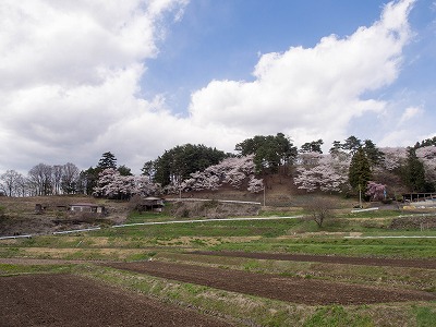 イメージ 89