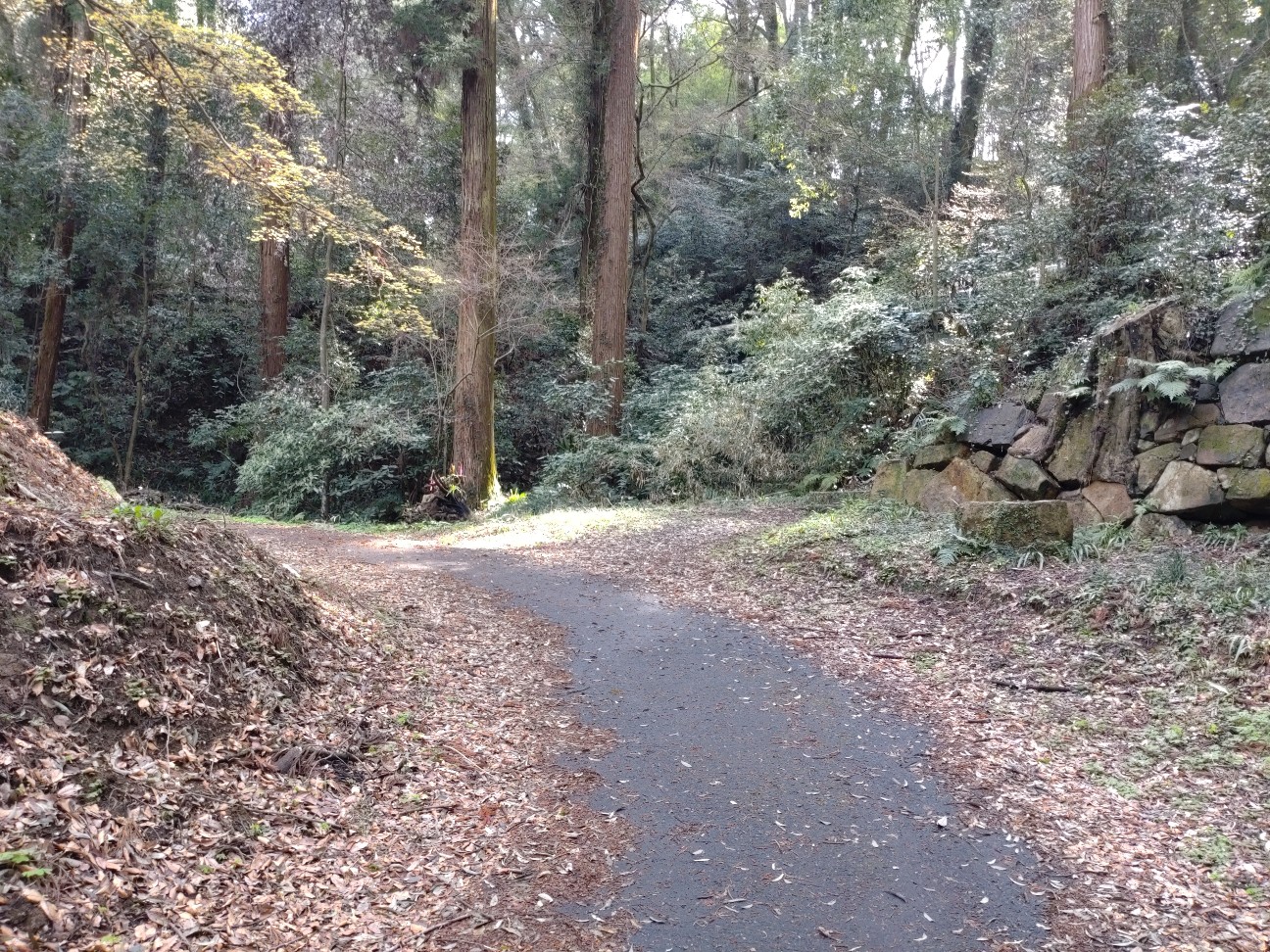f:id:kanhito:20260502101513j:image