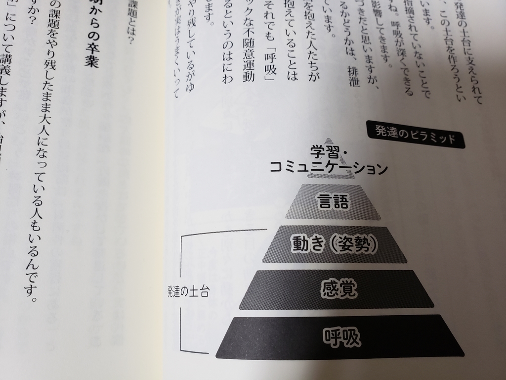 36 発達ピラミッド タイトルはこれから