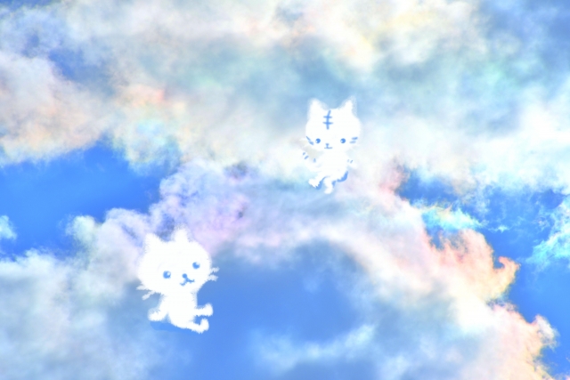 f:id:kani_624:20220321171742j:plain