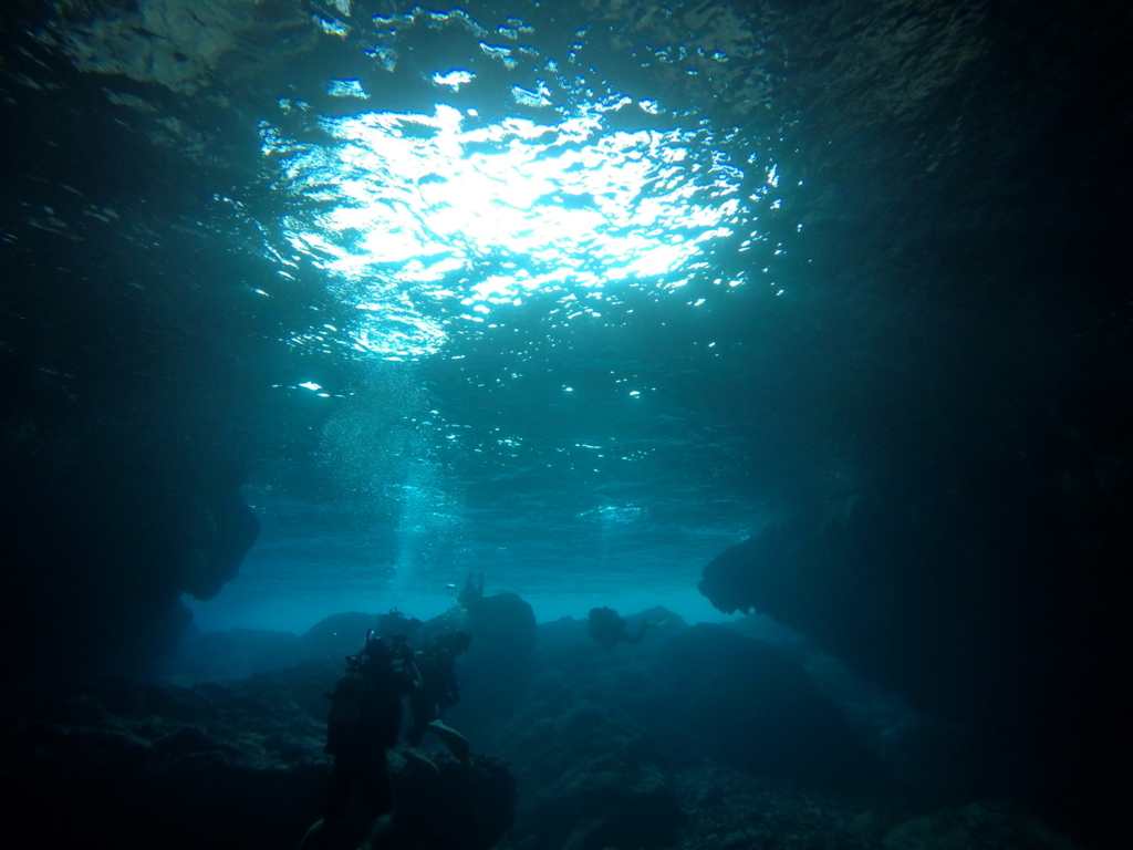 f:id:kani_b:20170912113432j:plain