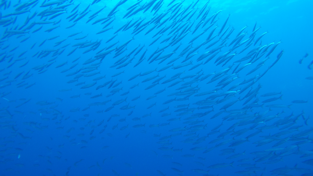 f:id:kani_b:20180104233135p:plain