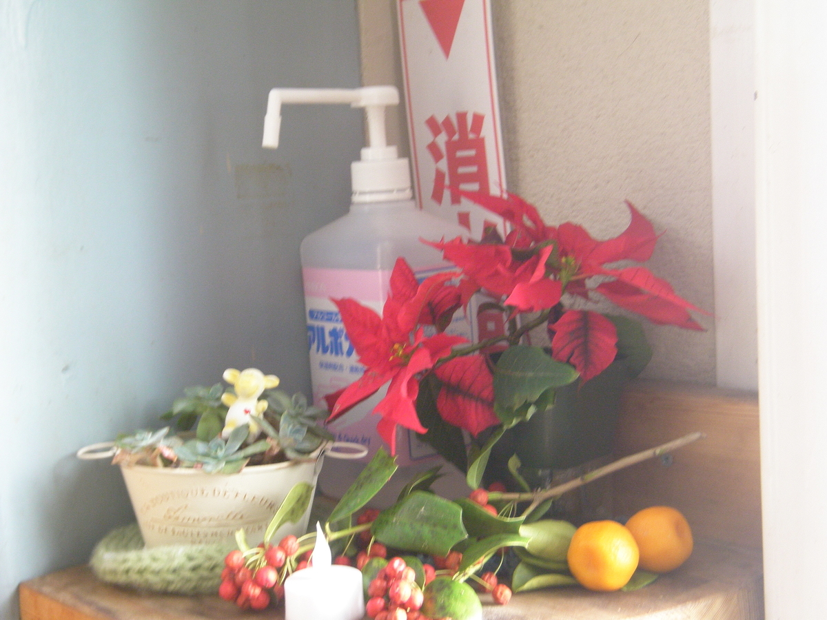 f:id:kaniba_works:20201215095410j:plain