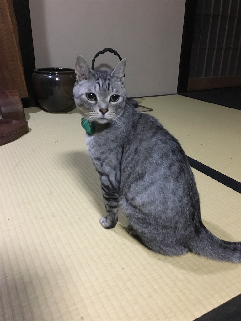 f:id:kanikanikanikani:20170121005120j:image
