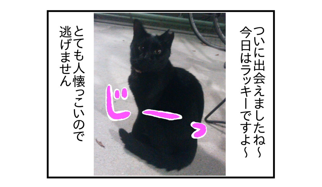 f:id:kanikanikaniyo:20161204043010p:plain