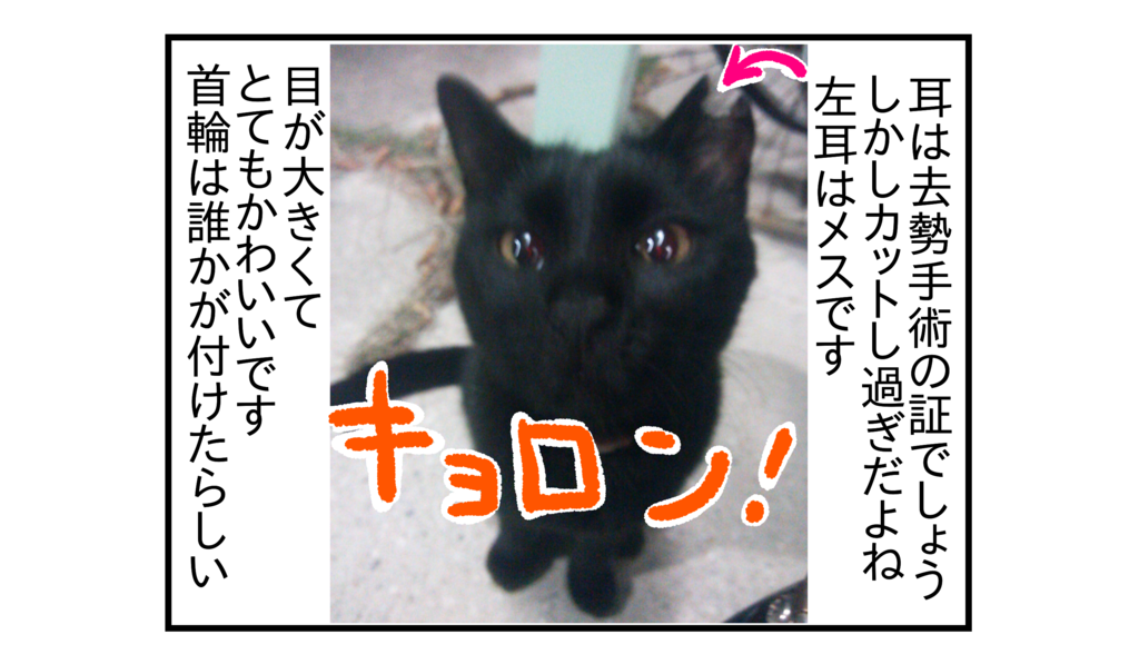 f:id:kanikanikaniyo:20161204043041p:plain