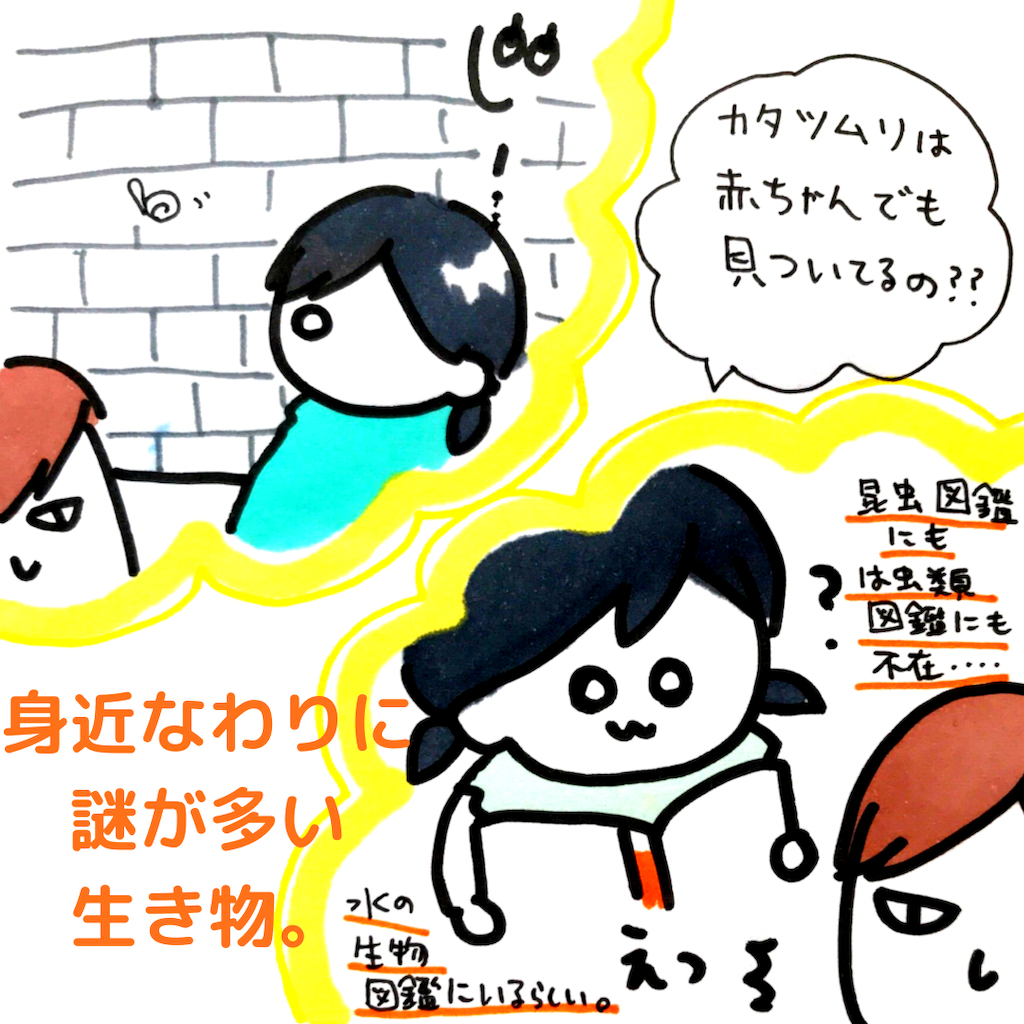 f:id:kanimai:20210615210904p:image f:id:kanimai:20210615210904p:image