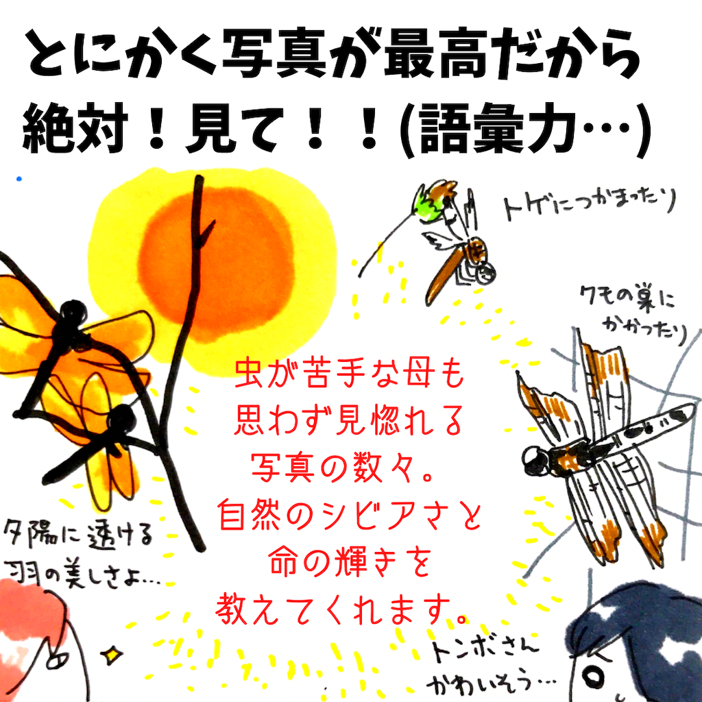 f:id:kanimai:20211108214532p:image f:id:kanimai:20211108214532p:image