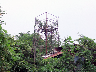 f:id:kanishika:20100620224208j:image