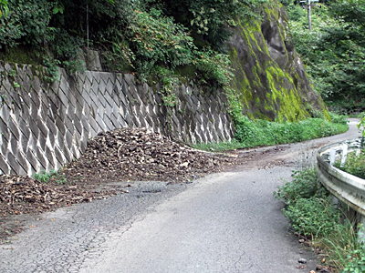 f:id:kanishika:20100813232329j:image