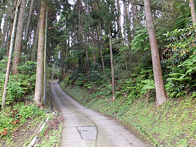 f:id:kanishika:20140528081917j:image