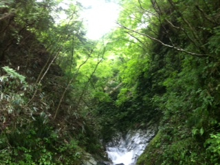 f:id:kaniusagi:20120623124018j:image