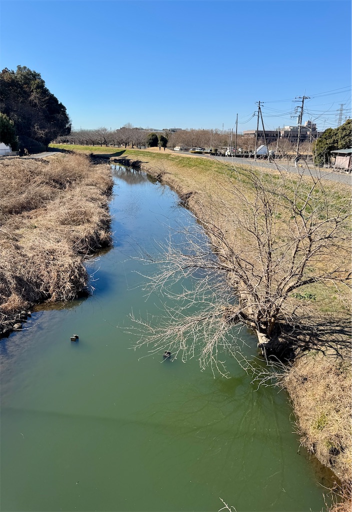 f:id:kanjinkanwakun:20260201123748j:image f:id:kanjinkanwakun:20260201123748j:image