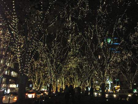 20051213202529