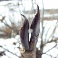 20060109122830