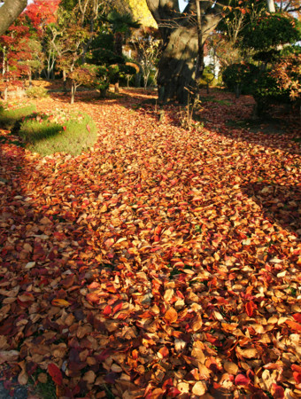 f:id:kanjisin:20101120073349j:image