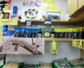 石巻市雄勝130124
