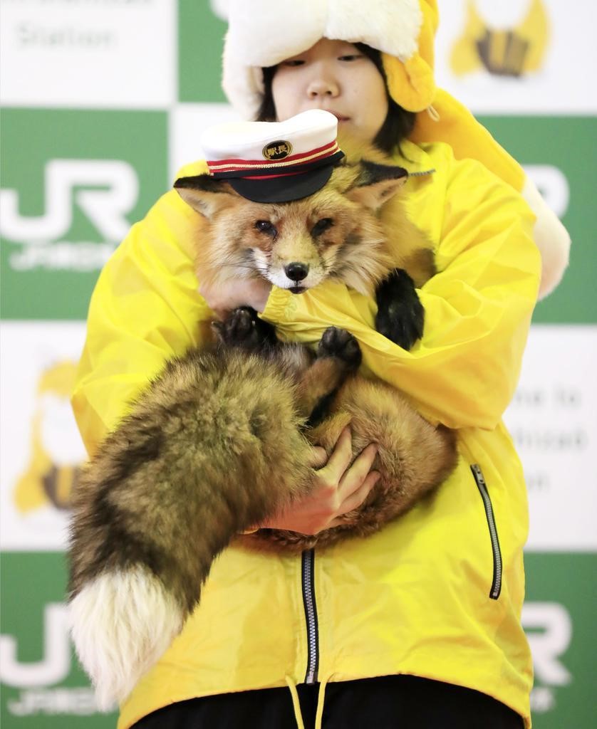 f:id:kanjitan:20190410230050j:plain f:id:kanjitan:20190410230050j:plain