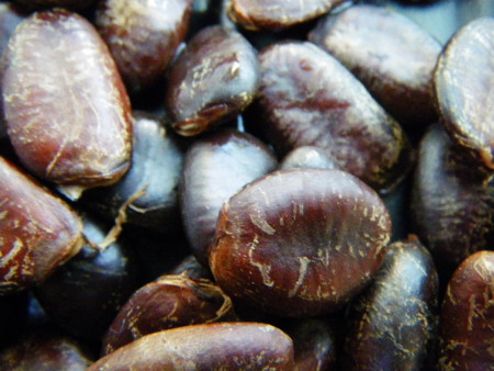 f:id:kanjuku107:20081027084633j:image
