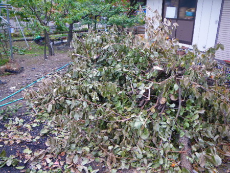 f:id:kanjuku107:20081027092421j:image