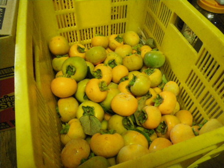 f:id:kanjuku107:20101020102206j:image