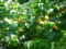 20120711214736