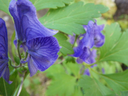 f:id:kanjuku107:20121026232228j:image