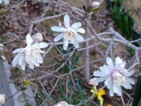 f:id:kanjuku107:20121026232311j:image