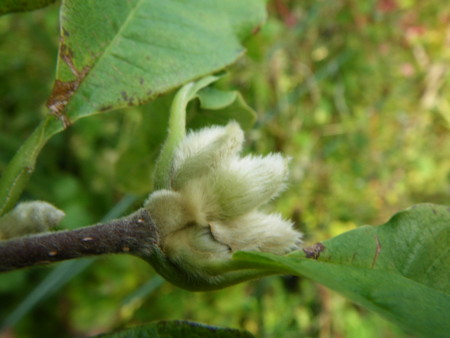 f:id:kanjuku107:20121026232312j:image