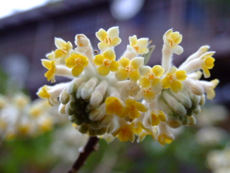 f:id:kanjuku107:20121026232501j:image