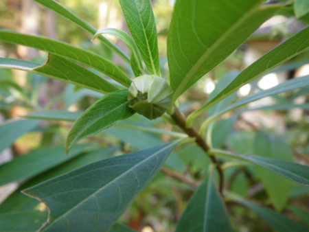 f:id:kanjuku107:20121026232503j:image
