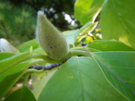 f:id:kanjuku107:20121026232623j:image