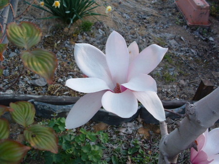f:id:kanjuku107:20121026232655j:image