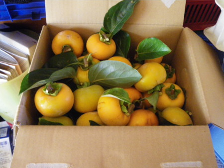 f:id:kanjuku107:20121026233147j:image