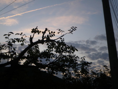 f:id:kanjuku107:20121026233433j:image