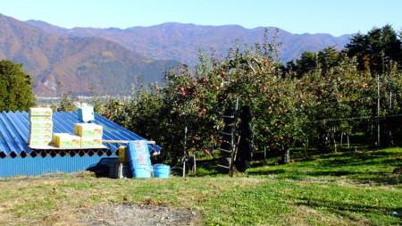 f:id:kanjuku107:20121118153016j:image