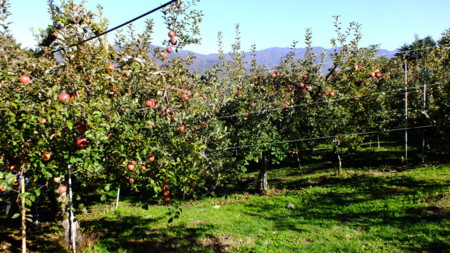 f:id:kanjuku107:20121118153345j:image