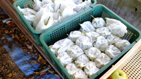 f:id:kanjuku107:20121118153440j:image